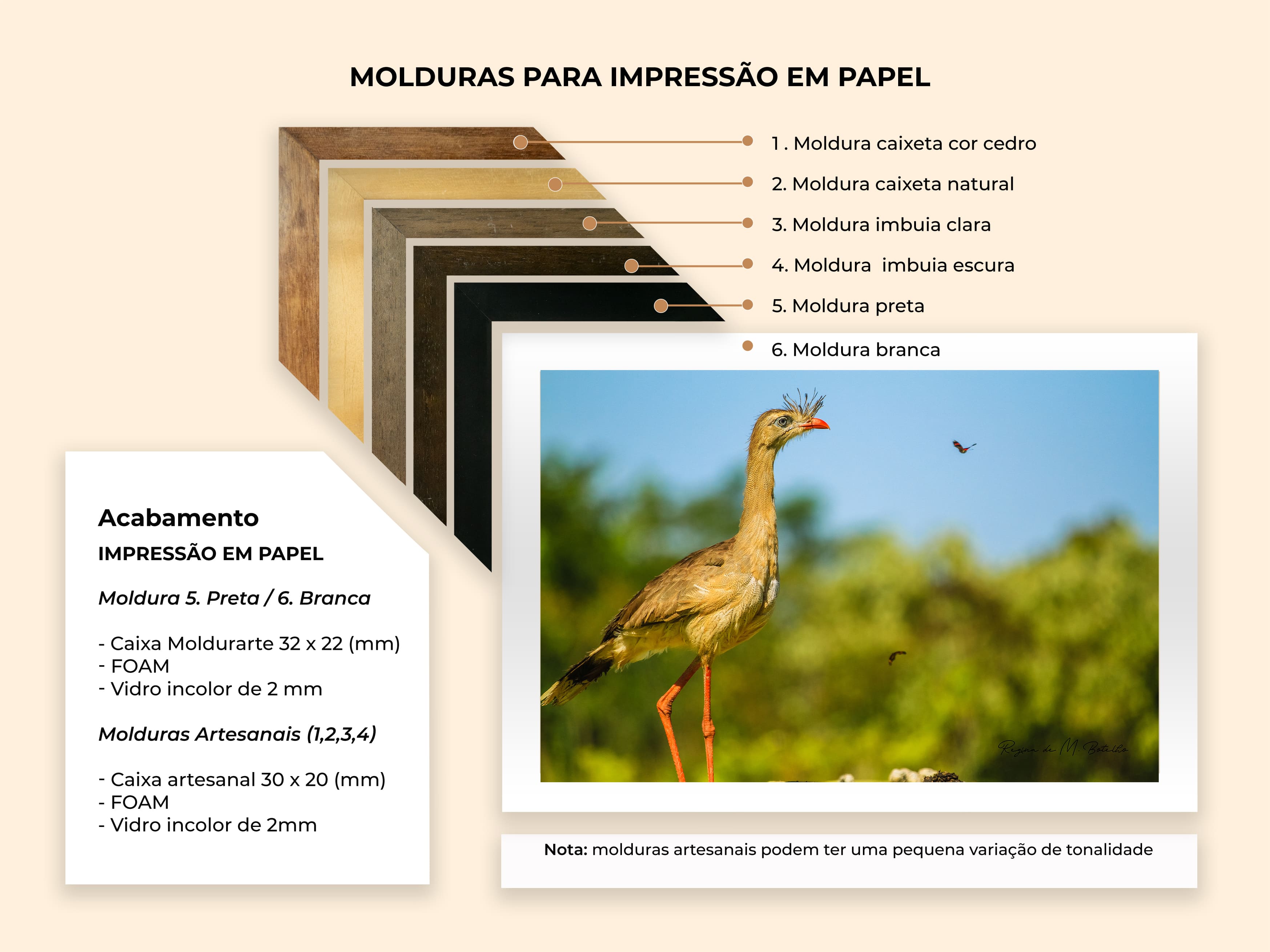 Molduras para Papel Fotogr?ico